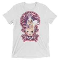 Fractal Labyrinth Tri-blend T-shirt