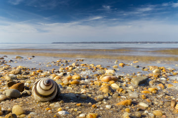 Spiral Winter Shore - Image Licensing