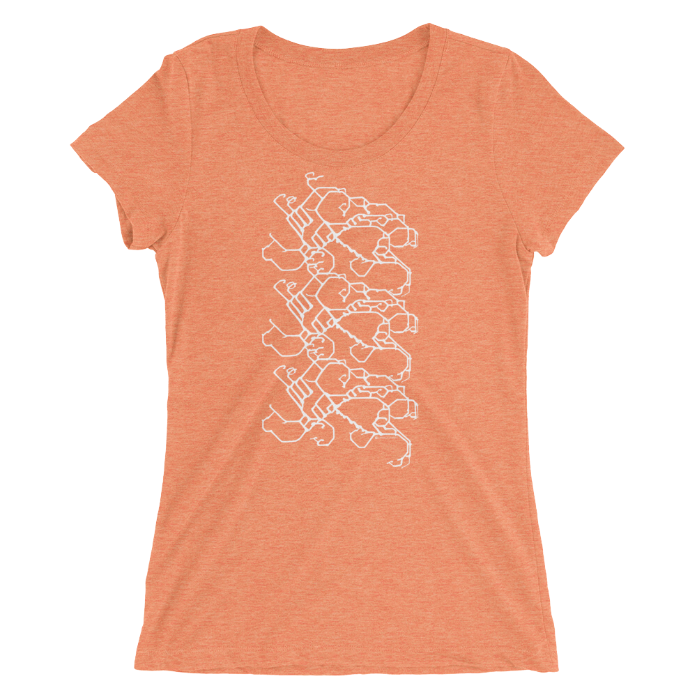 Women's Gravity Repeat Tri-blend T-shirt