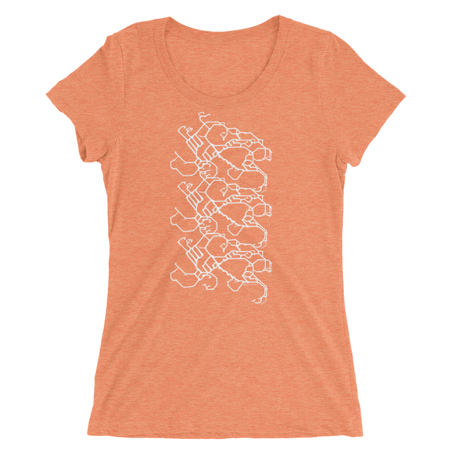 Women's Gravity Repeat Tri-blend T-shirt