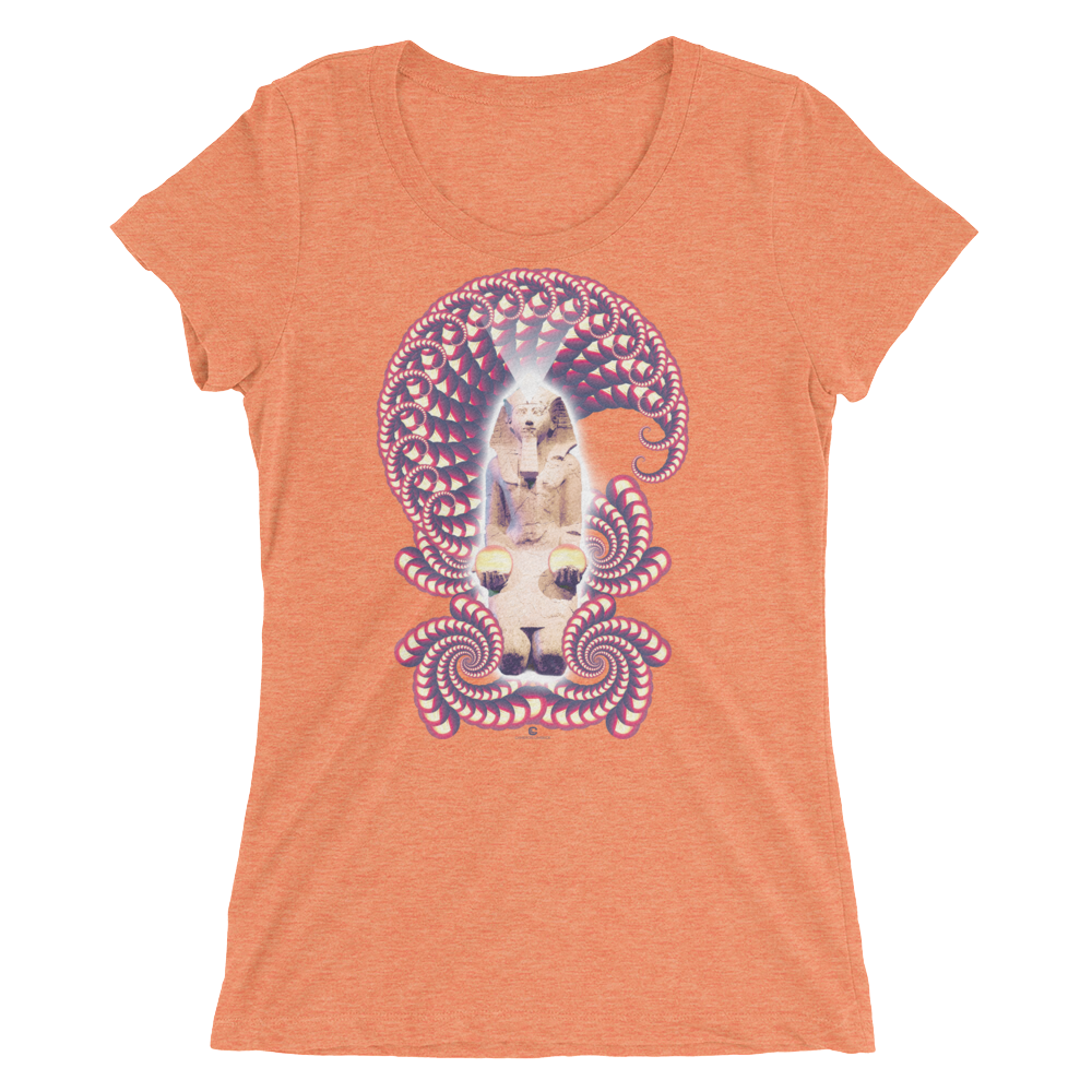 Women's Fractal Labyrinth Tri-blend T-shirt
