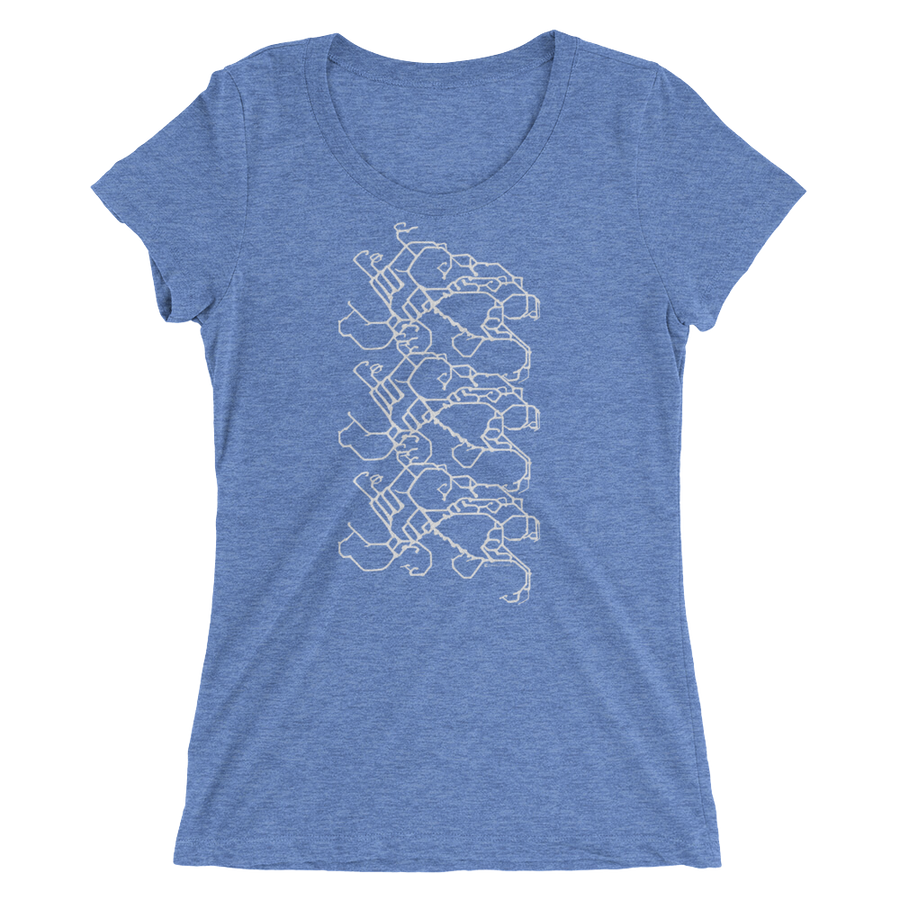 Women's Gravity Repeat Tri-blend T-shirt