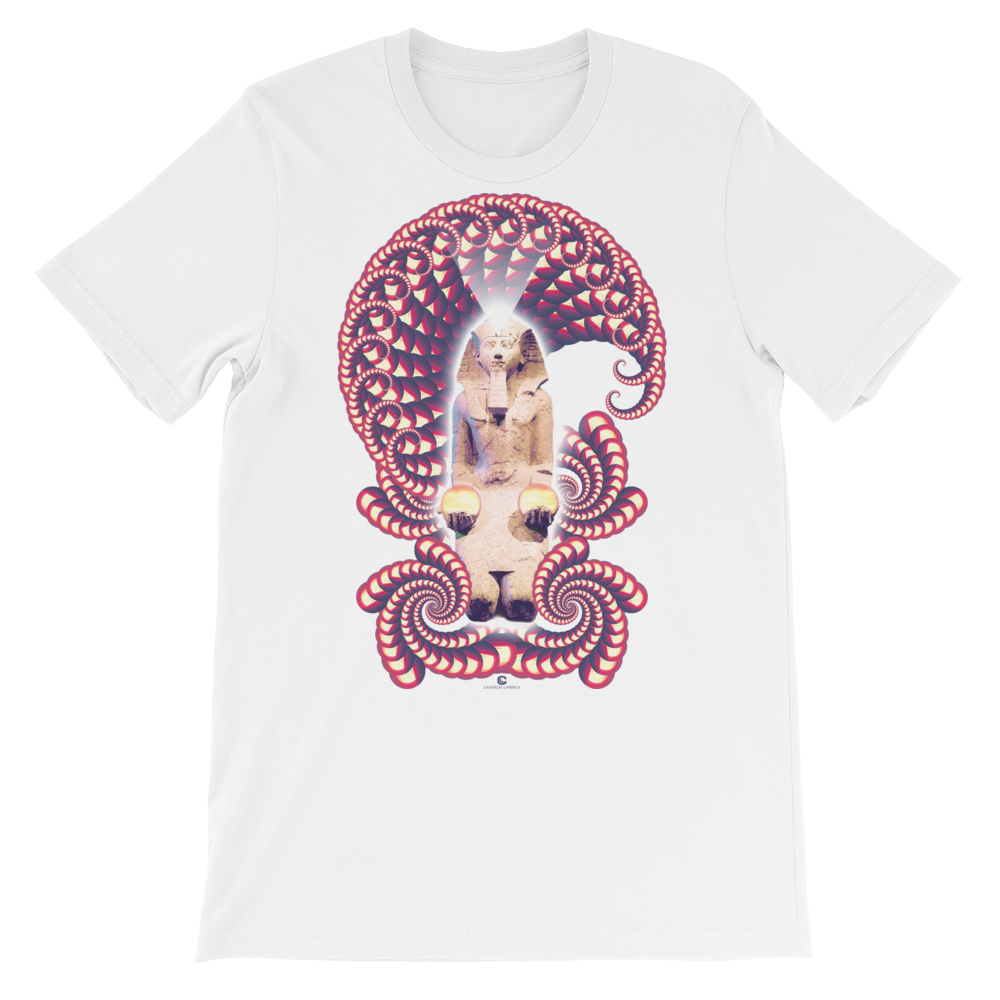 Fractal Labyrinth T-shirt