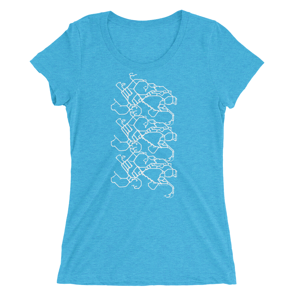 Women's Gravity Repeat Tri-blend T-shirt