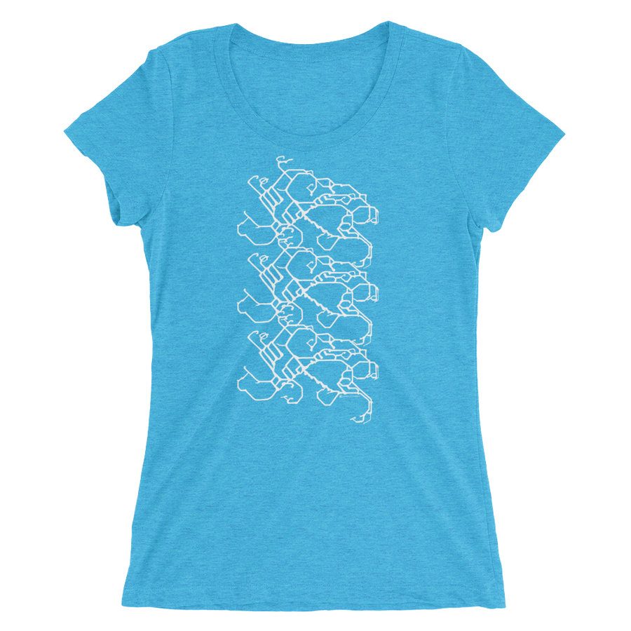 Women's Gravity Repeat Tri-blend T-shirt