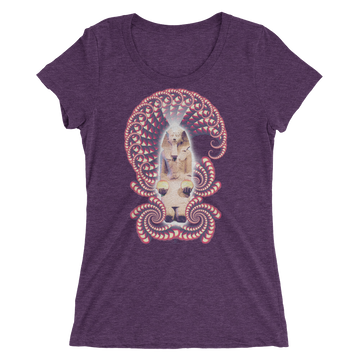 Women's Fractal Labyrinth Tri-blend T-shirt